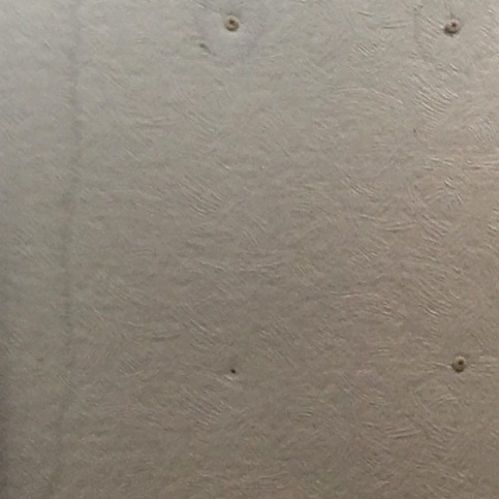 Meet your Posher, Debi